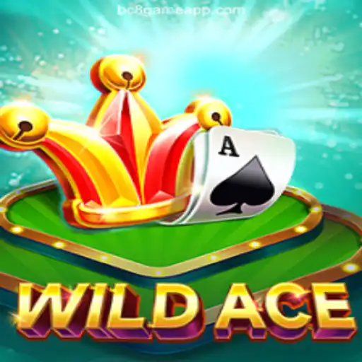 Discover the Thrilling World of WildAce: A Premium Online Casino Experience